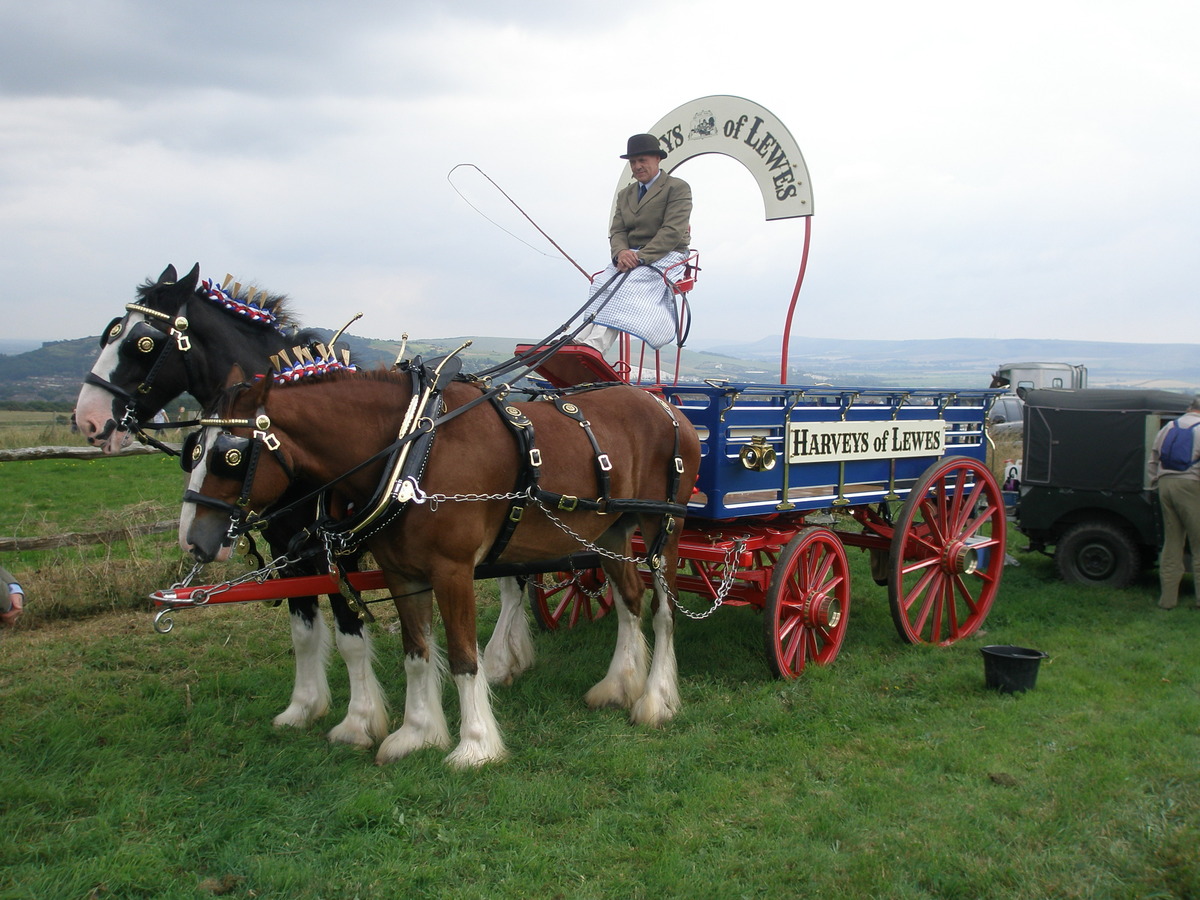 Harveys Dray at the Racecourse Carnival